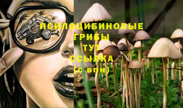 а пвп мука Осташков